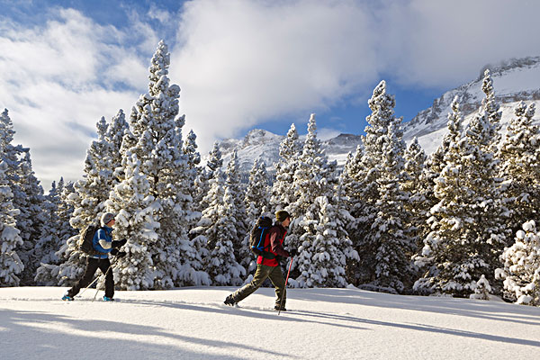 滑雪,旅游,靠近,冰川国家公园,蒙大拿,美国