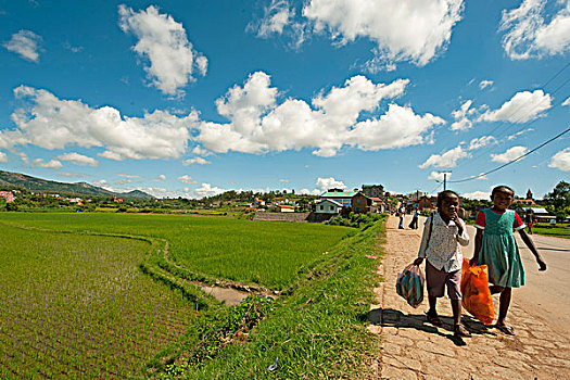 madagascar,ambositra,children,walking,next,to,rice,fields