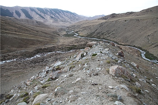 新疆哈密,天山山地荒漠牧场