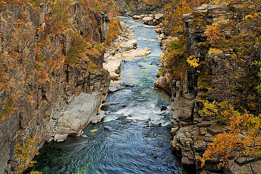 秋色,峡谷,河流,国家公园,拉普兰,瑞典,欧洲