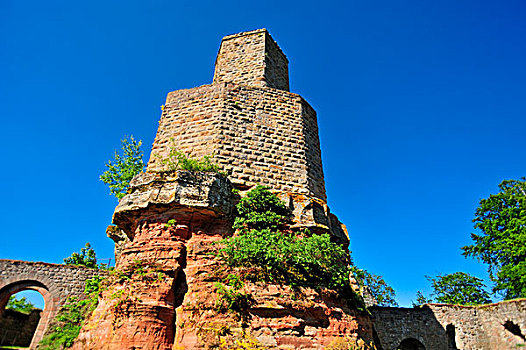 城堡,遗址,自然保护区,莱茵兰普法尔茨州,德国,欧洲