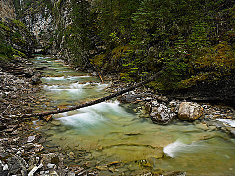 溪流,班芙国家公园,艾伯塔省,加拿大