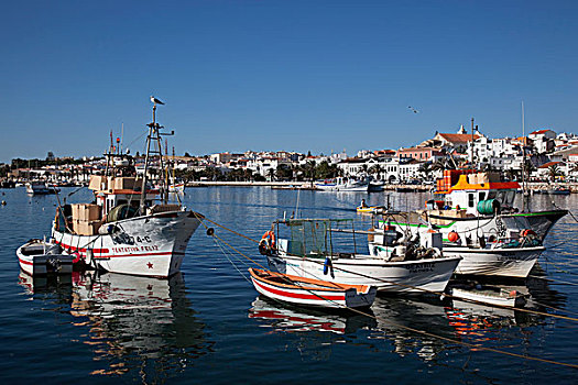捕鱼,港口,拉各斯,阿尔加维,葡萄牙,欧洲