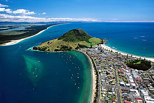 新西兰,港口,俯视