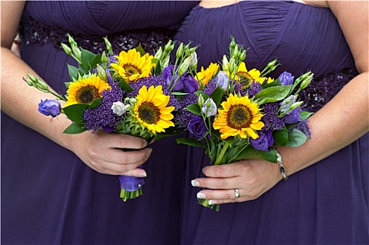 伴娘,紫色,向日葵,花束