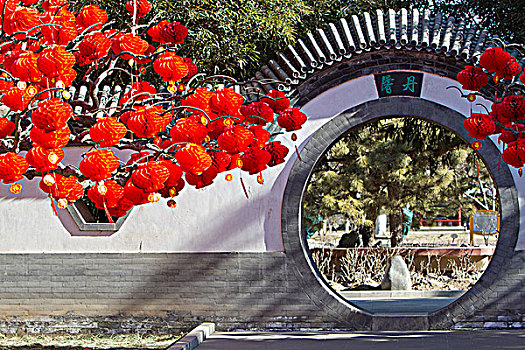 北京地坛庙会上的红灯笼