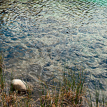 俯拍,湖,碧玉国家公园,艾伯塔省,加拿大