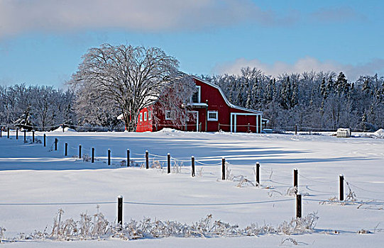 红色,谷仓,冬天,滑铁卢,魁北克,加拿大