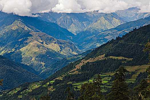 农田,乡村,喜马拉雅山,山谷,不丹