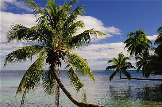茉莉亚岛,法属玻利尼西亚