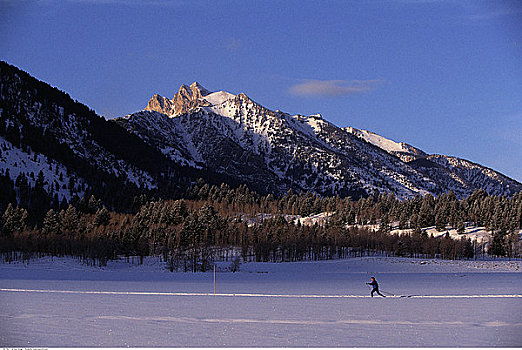越野滑雪,国家森林,犹他,美国