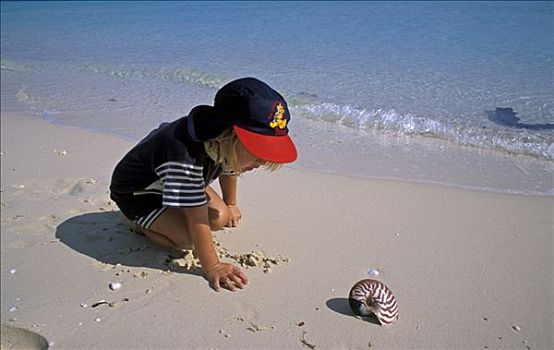 孩子,发现,壳,鹦鹉螺,新加勒多尼亚