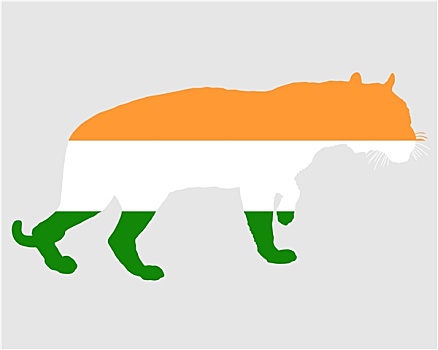 印度,虎
