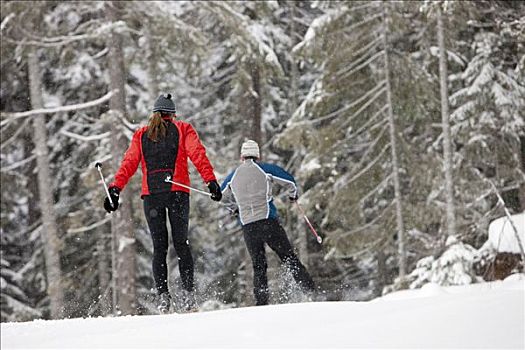 后视图,伴侣,越野滑雪,不列颠哥伦比亚省,加拿大