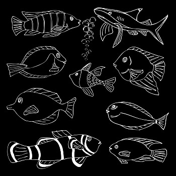 野生海鱼图片_野生海鱼图片大全_野生海鱼图片素材