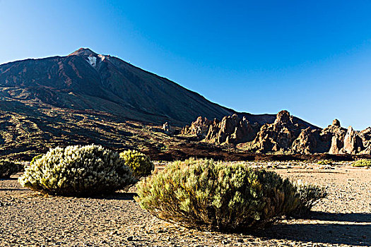 沙漠植被,洛斯罗克斯群岛,泰德山,世界遗产,泰德国家公园,特内里费岛,加纳利群岛