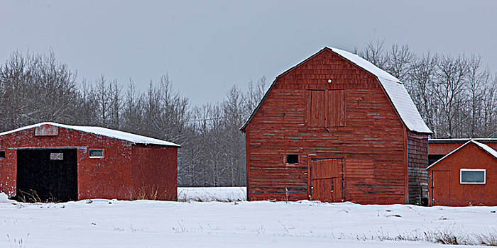 农舍,雪中,遮盖,地点,岩石,急流,艾伯塔省,加拿大