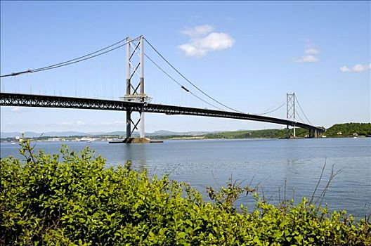 立交桥,桥,穿过,福斯河,峡湾,靠近,爱丁堡,苏格兰,英国,欧洲