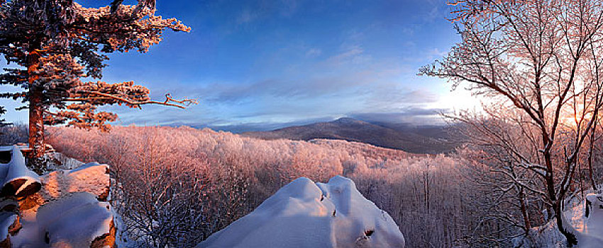 林海雪原风光