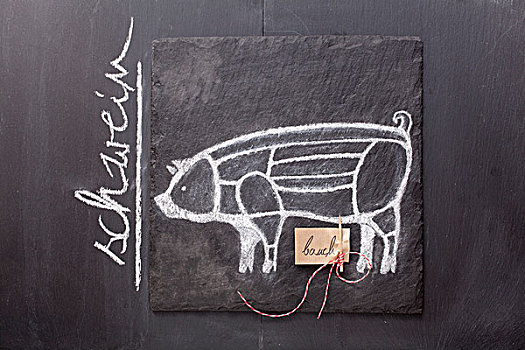 素描,猪,标签,文字,黑板