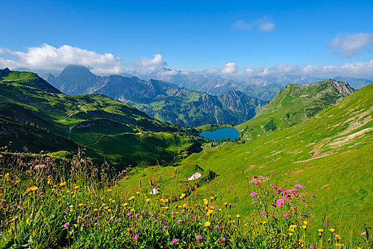 湖,风景,阿尔卑斯山,奥伯斯多夫,斯瓦比亚,巴伐利亚,德国,欧洲