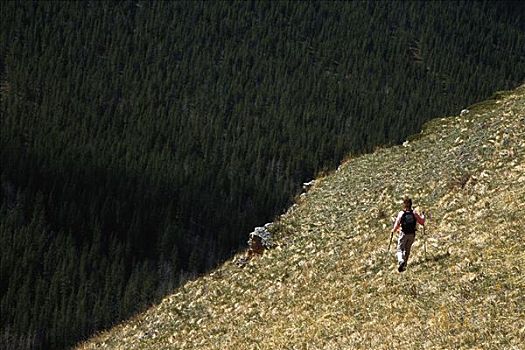 女人,远足,落基山脉,不列颠哥伦比亚省,加拿大
