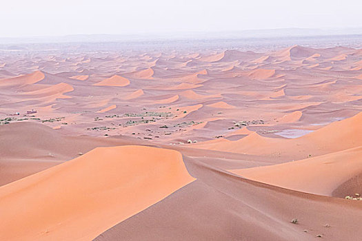 摩洛哥,撒哈拉,沙丘,宽,高度