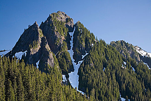 山峦,雷尼尔山国家公园,华盛顿,美国