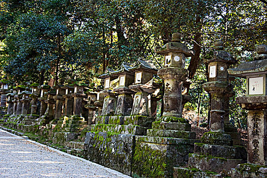 石头,灯笼,靠近,奈良,日本