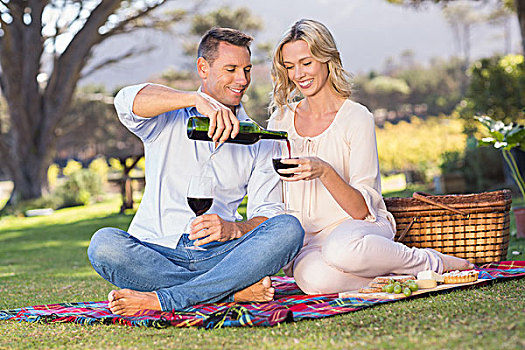 微笑,坐,夫妇,野餐毯,倒出,葡萄酒,玻璃,公共草地