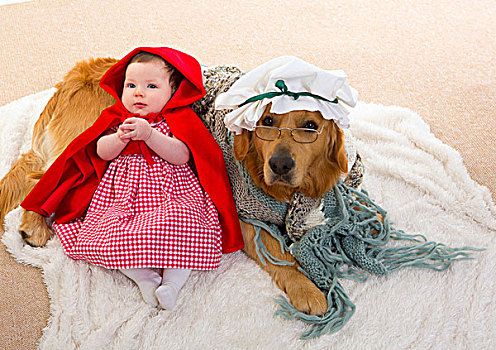 婴儿,小红色帽衫,狼,狗,衣服,奶奶,金毛猎犬