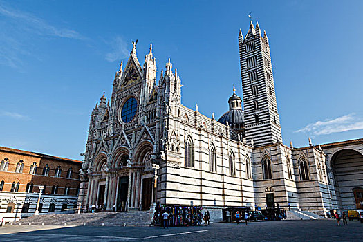 漂亮,圣马利亚,大教堂,锡耶纳,托斯卡纳,意大利
