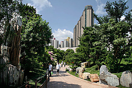 吃,植物,花园,香港,亚洲