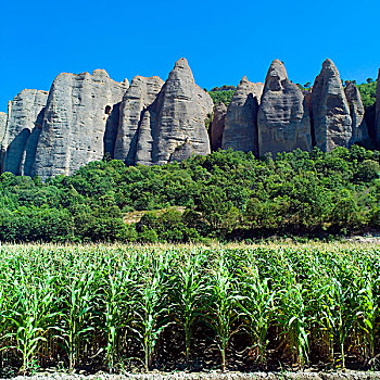 玉米地,悬崖,岩石构造,阿尔卑斯山,法国