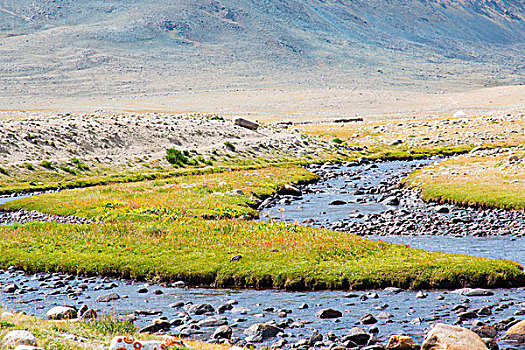蒙古,省,靠近,乡村,河流,风景,地形,区域
