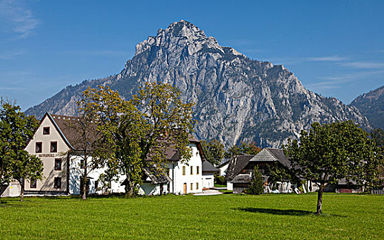 农舍,正面,山,萨尔茨卡莫古特,区域,上奥地利州,奥地利,欧洲