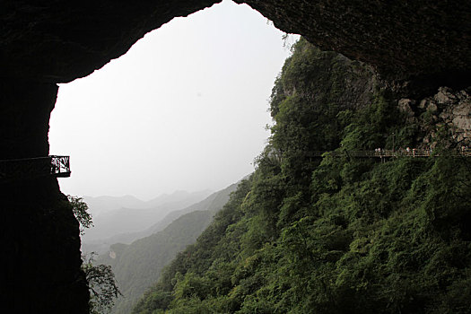 重庆南川,雨中金佛山云端栈道,与云雾起舞如仙如境