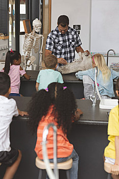 教师,解释,学生,人体骨骼,教室
