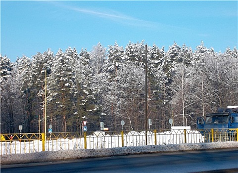 冬日树林,靠近,道路