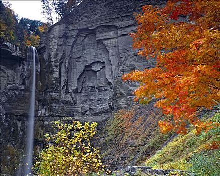 秋天,瀑布,州立公园,峡谷,手指,湖,高原,纽约