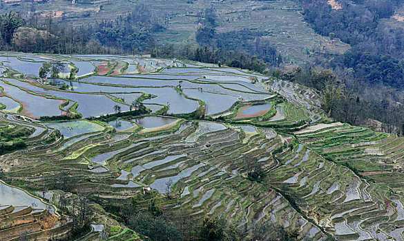 云南红河州元阳梯田自然景观