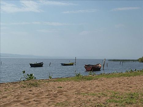 渔船,湖,靠近,亚松森,巴拉圭
