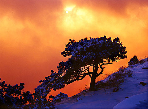 安徽黄山夕阳雪景