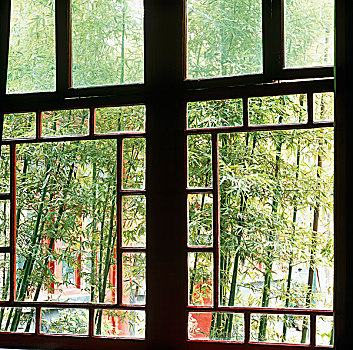 窗户,竹子,鹅卵石,院落