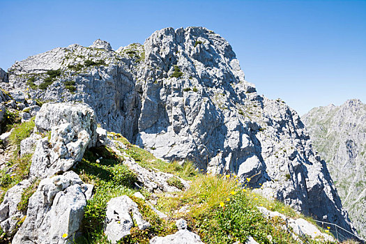 山景,阿尔卑斯山,巴伐利亚