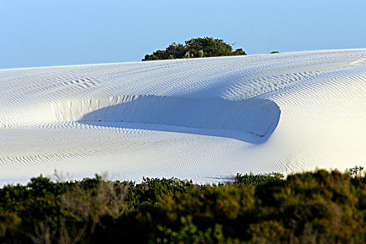 沿岸,白色,沙子,沙丘,西澳大利亚州,澳大利亚