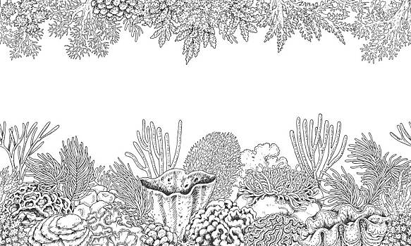 礁石素描图片