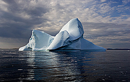 冰山,拉布拉多海,海岸,拉布拉多犬,纽芬兰,加拿大