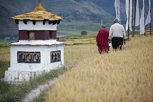 一个,男人,僧侣,走,过去,圣骨冢,途中,庙宇,不丹