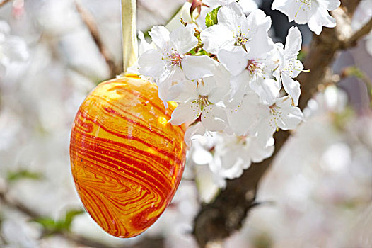 复活节彩蛋,樱花